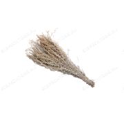 Веник Полынь